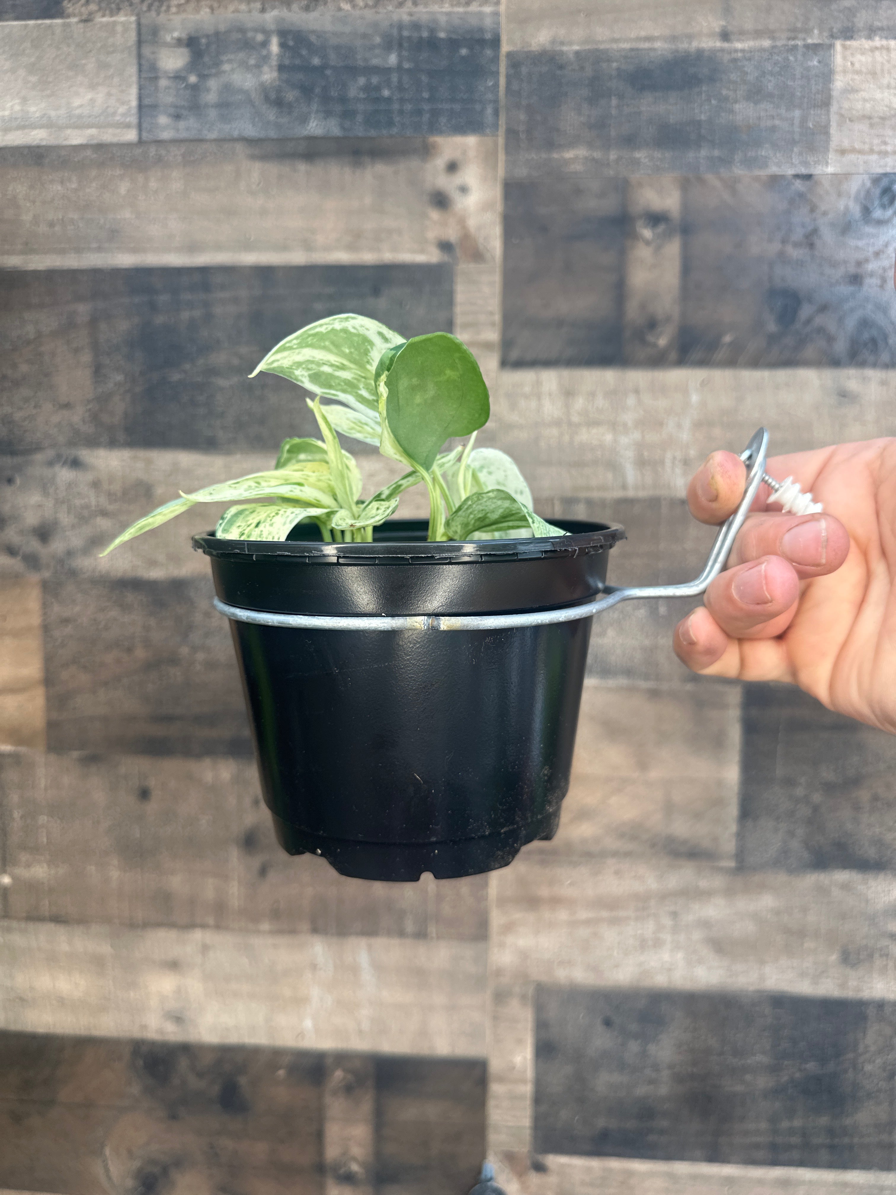 Wall scape pot hanger